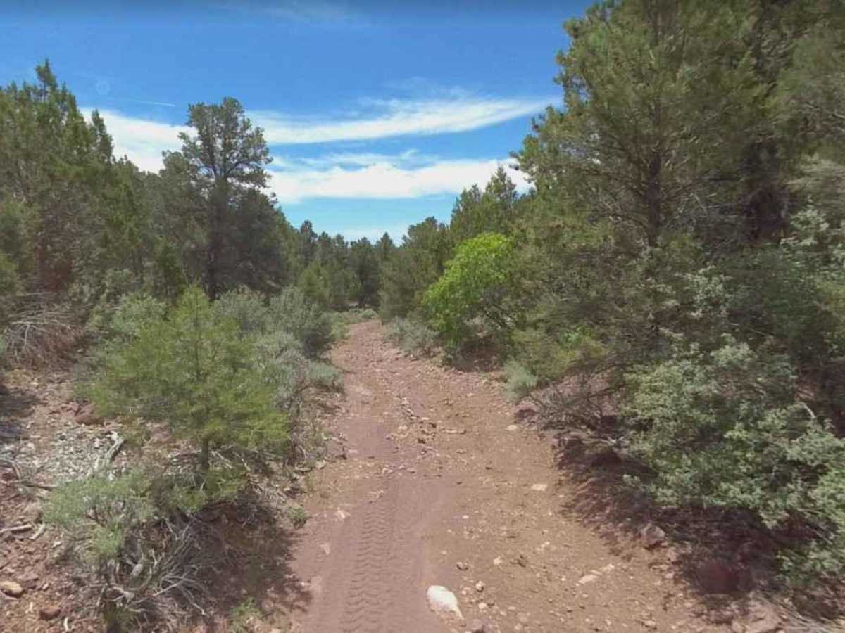 Burn Road photo 2