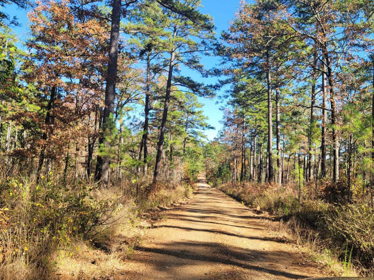 Champ Road to Nella Road photo 5