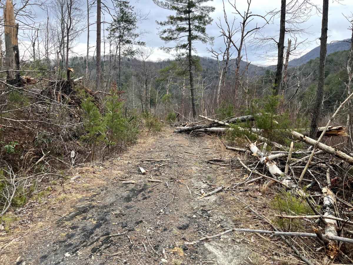 Ditney Mountain (66) photo 6