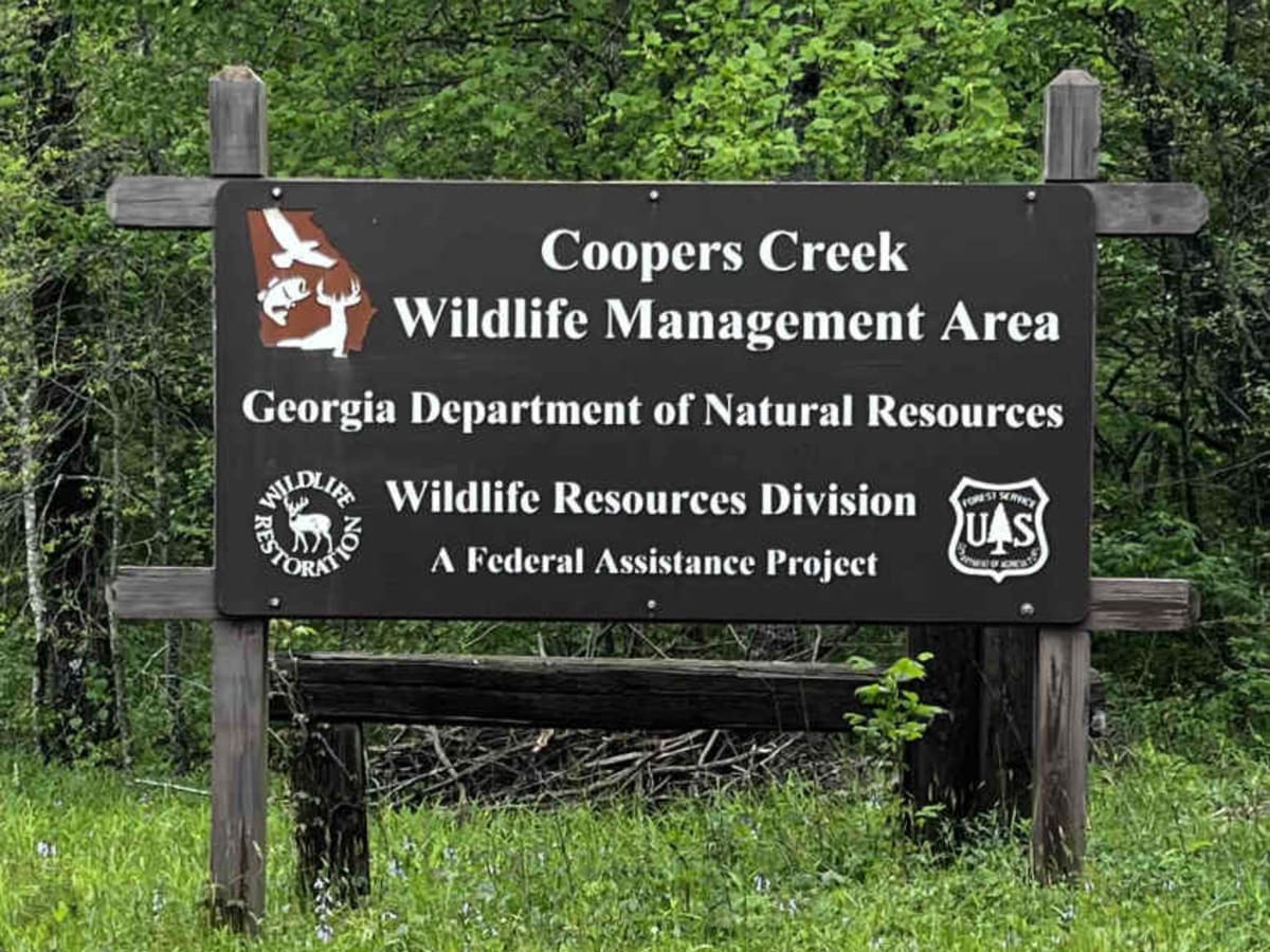 Cooper Creek FS Road 33 trail photo
