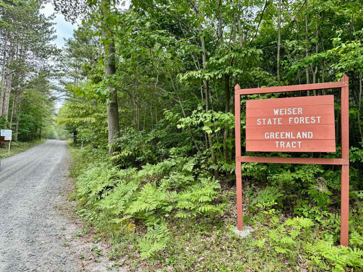 Berry Mountain Climb trail photo