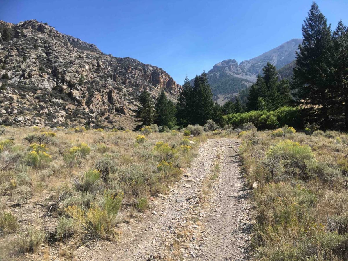 North Creek Trail photo 5