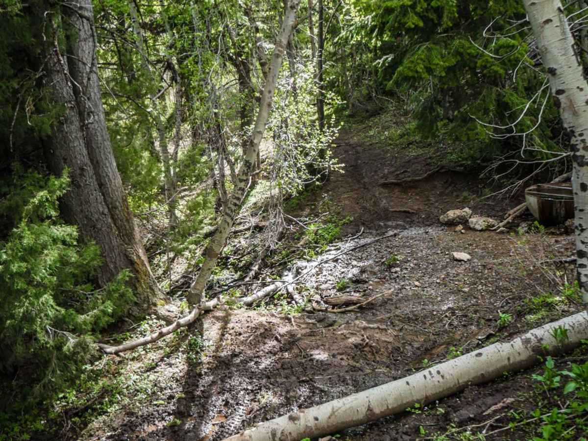 Clifton Basin to Weston Peak Single Track - 7433 photo 4
