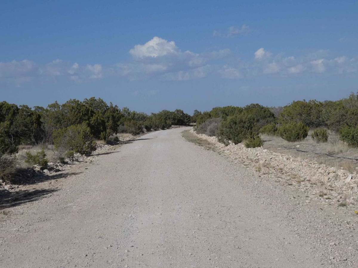National Livestock Road photo 3
