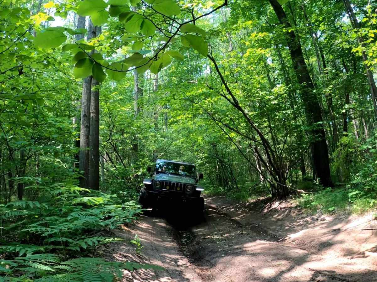 Rothberry Forest Loop Access photo 4