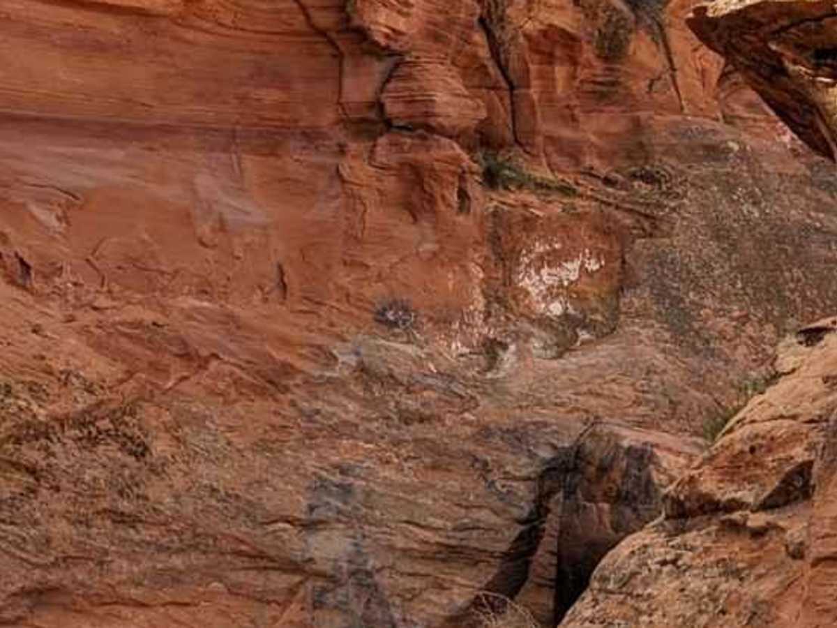 Nastiest Half trail photo