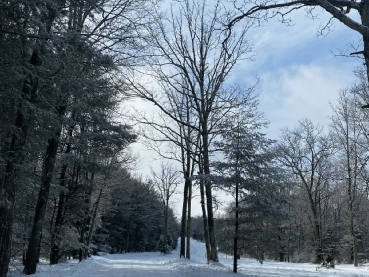 Old View Road photo 4