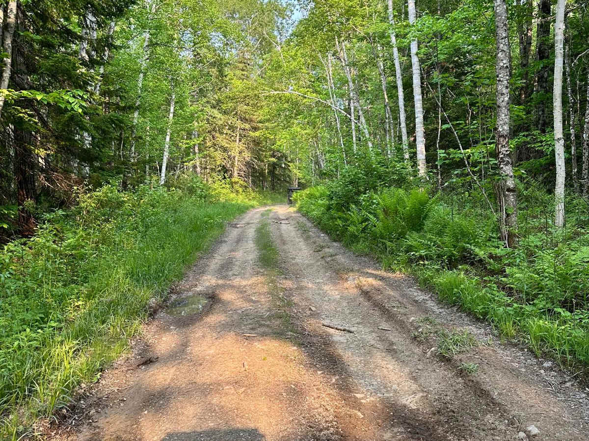 Masardis Main ATV photo 3