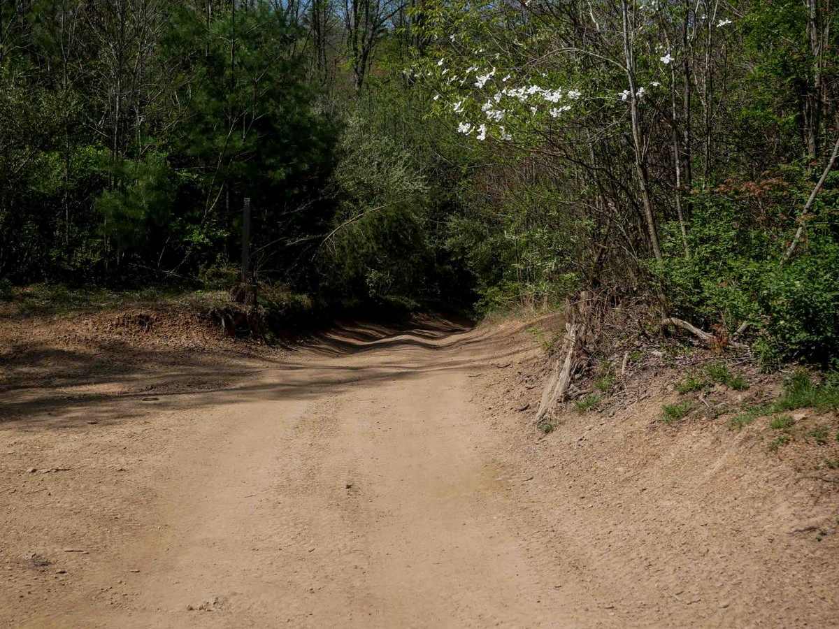 P31 photo 4