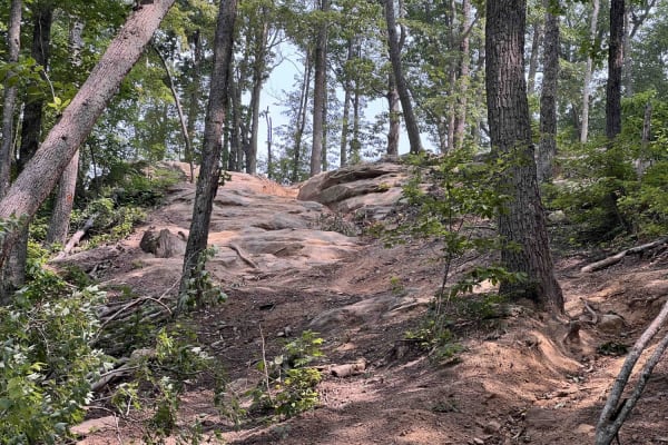Trail 38 Hollerwood Tipsy Rock Overlook