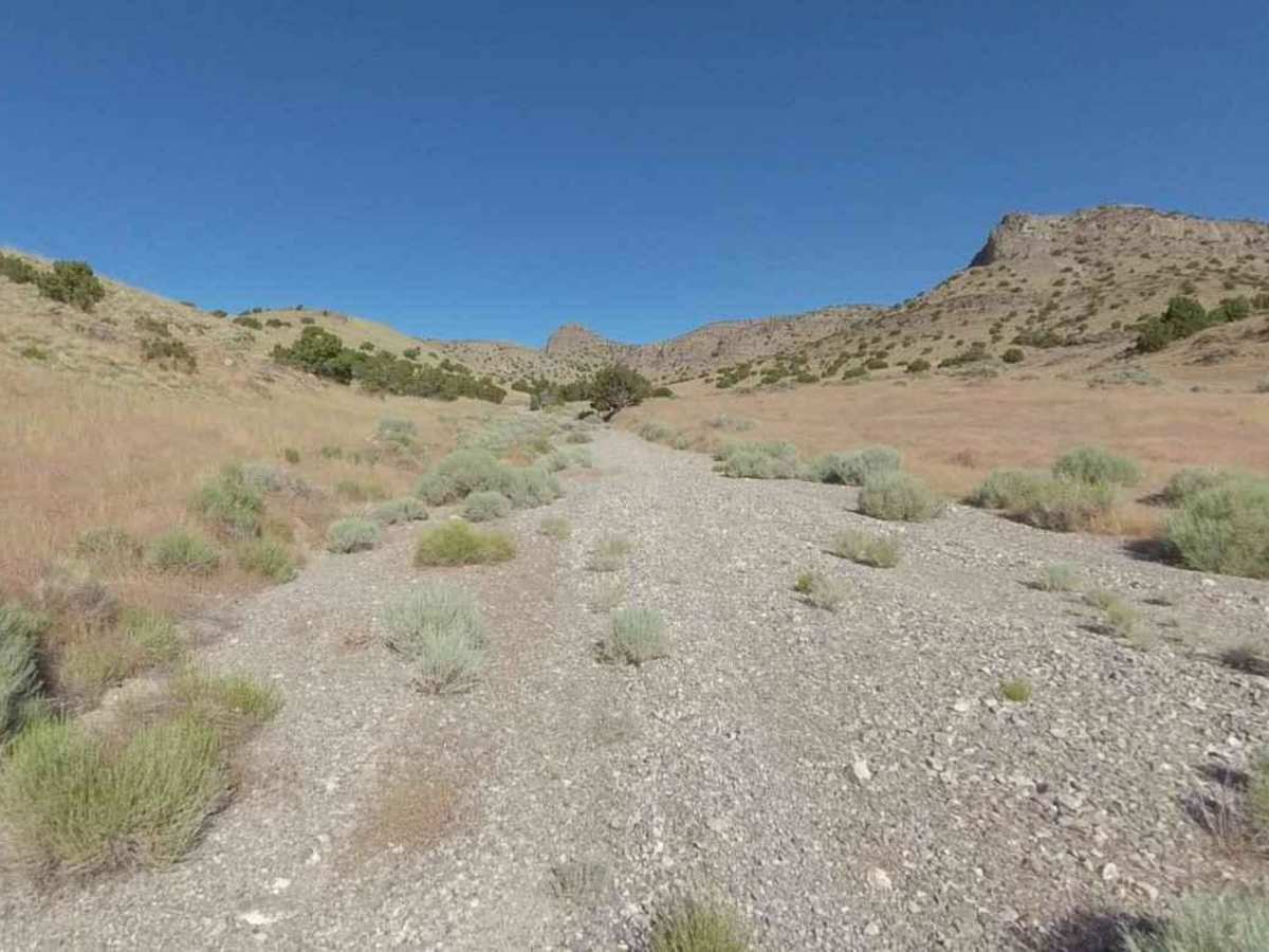 Conger Mountain OHV Route 2 photo 6