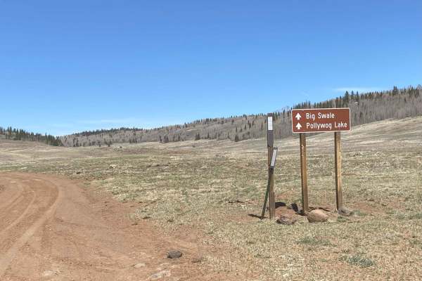 Polliwog-Big Swale - FR 129
