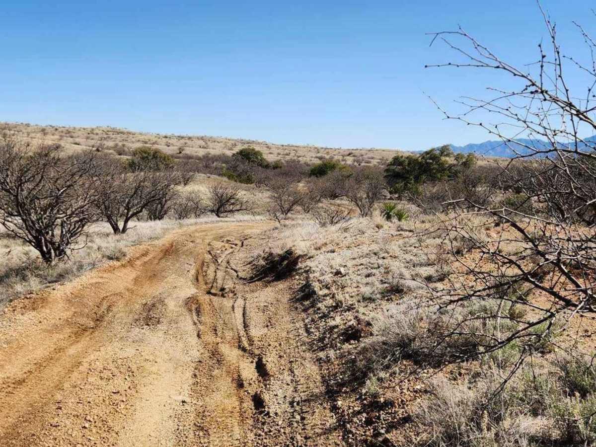 Oak Tree Canyon photo 3