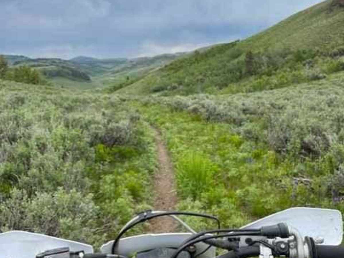 Goose Creek Single Track trail photo
