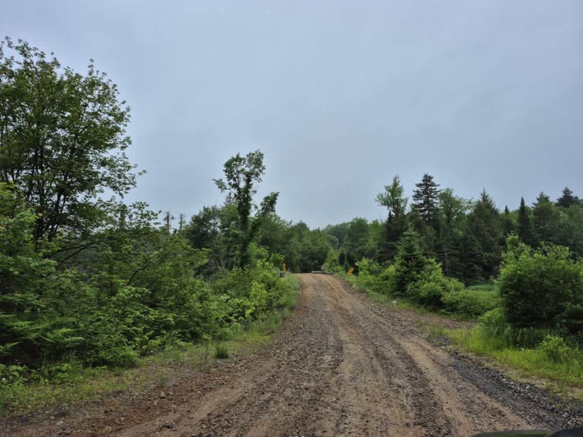 Long Level Road trail photo