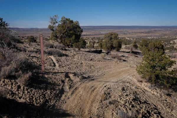 Mini Ridge Singletrack