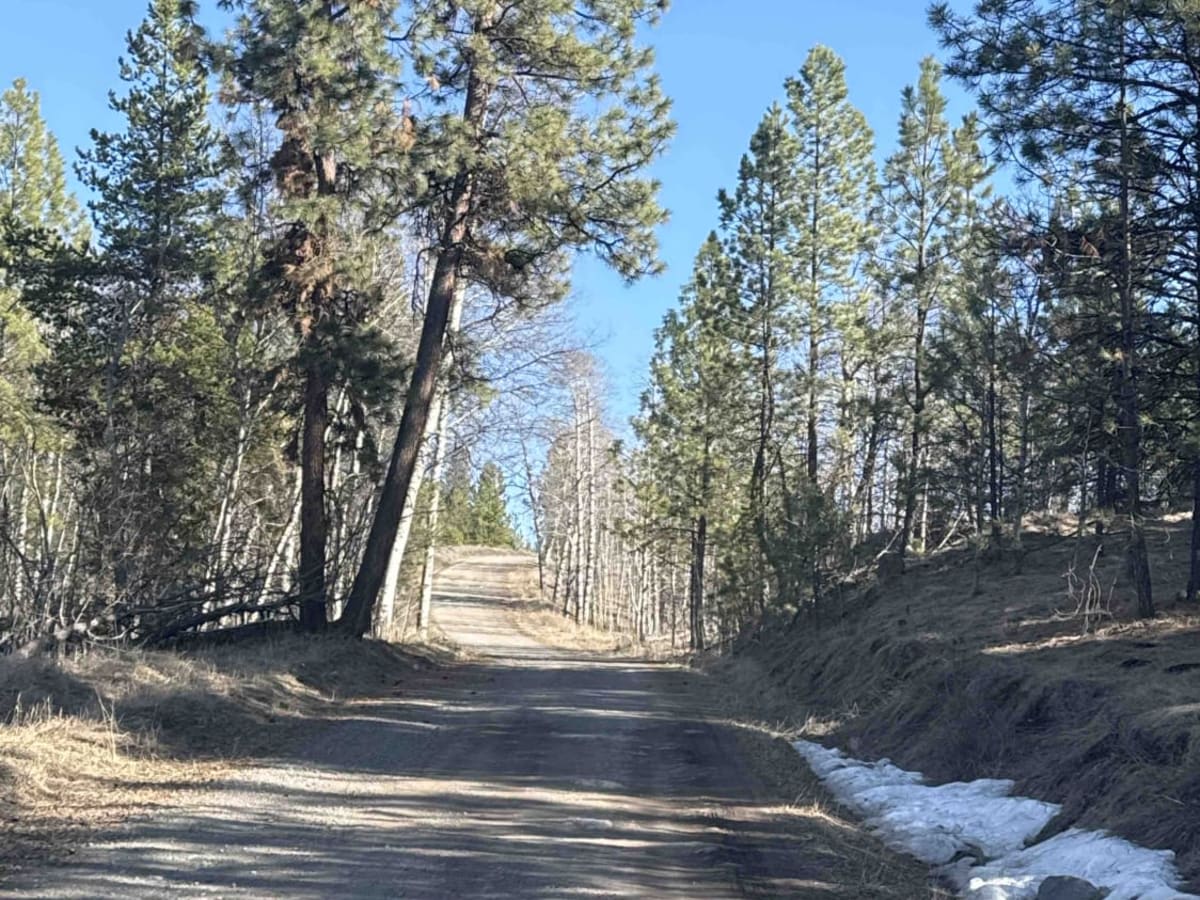 Dillard Creek FSR photo 2