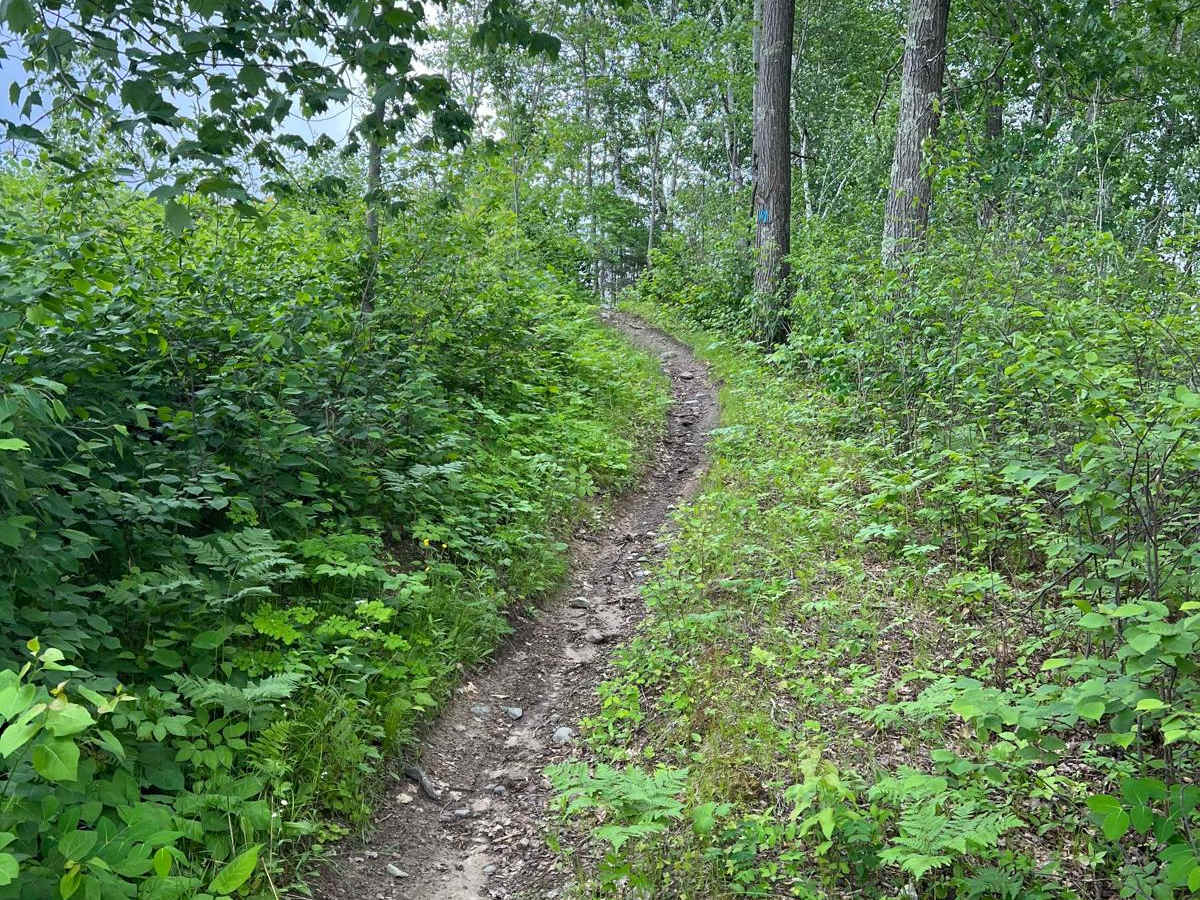 Paul Bunyan NW Loop Part 1 photo 2