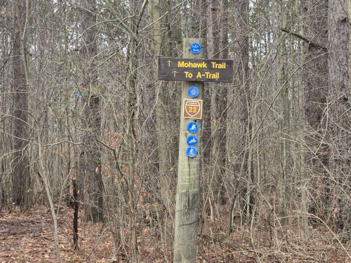 Templar Falls - Sugar Hill Road photo 4