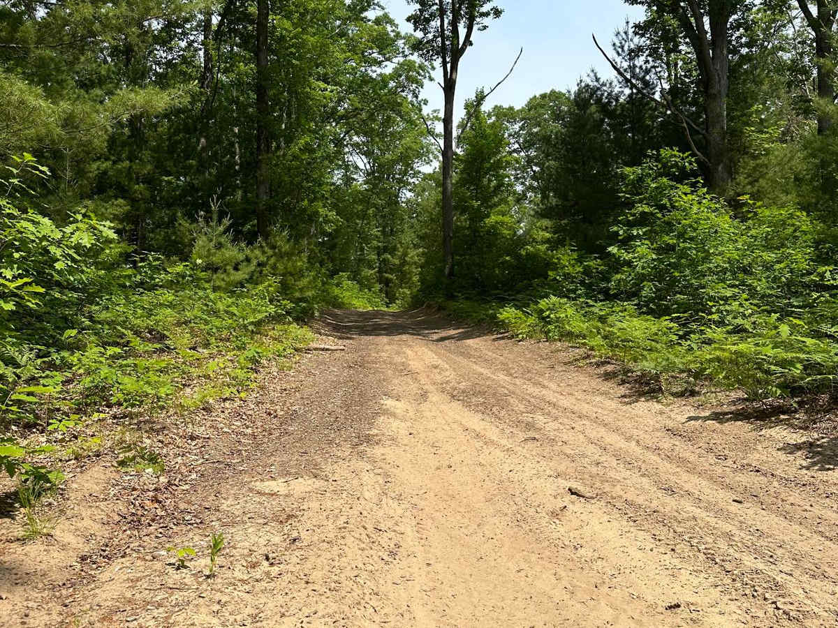 Rogers Road - Trail 58421 photo 5