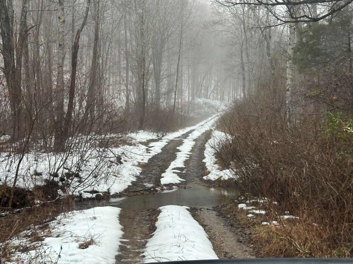 Lake Branch 3171 photo 4