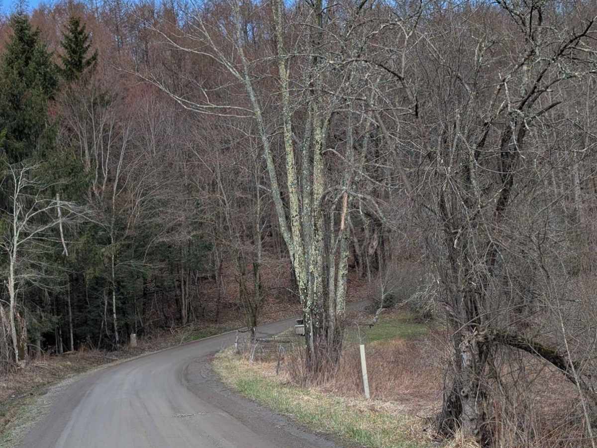 Montrose Turnpike photo 2