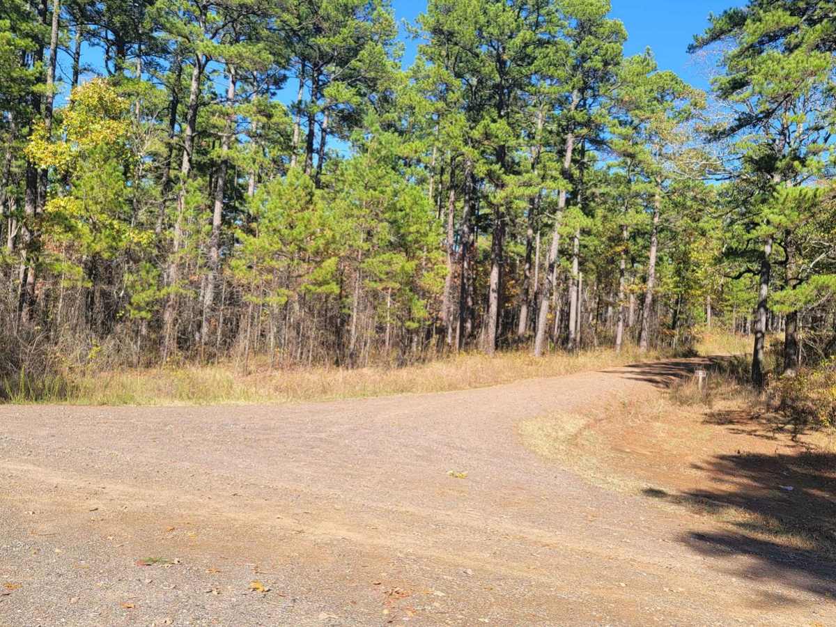 Haw Creek trail photo