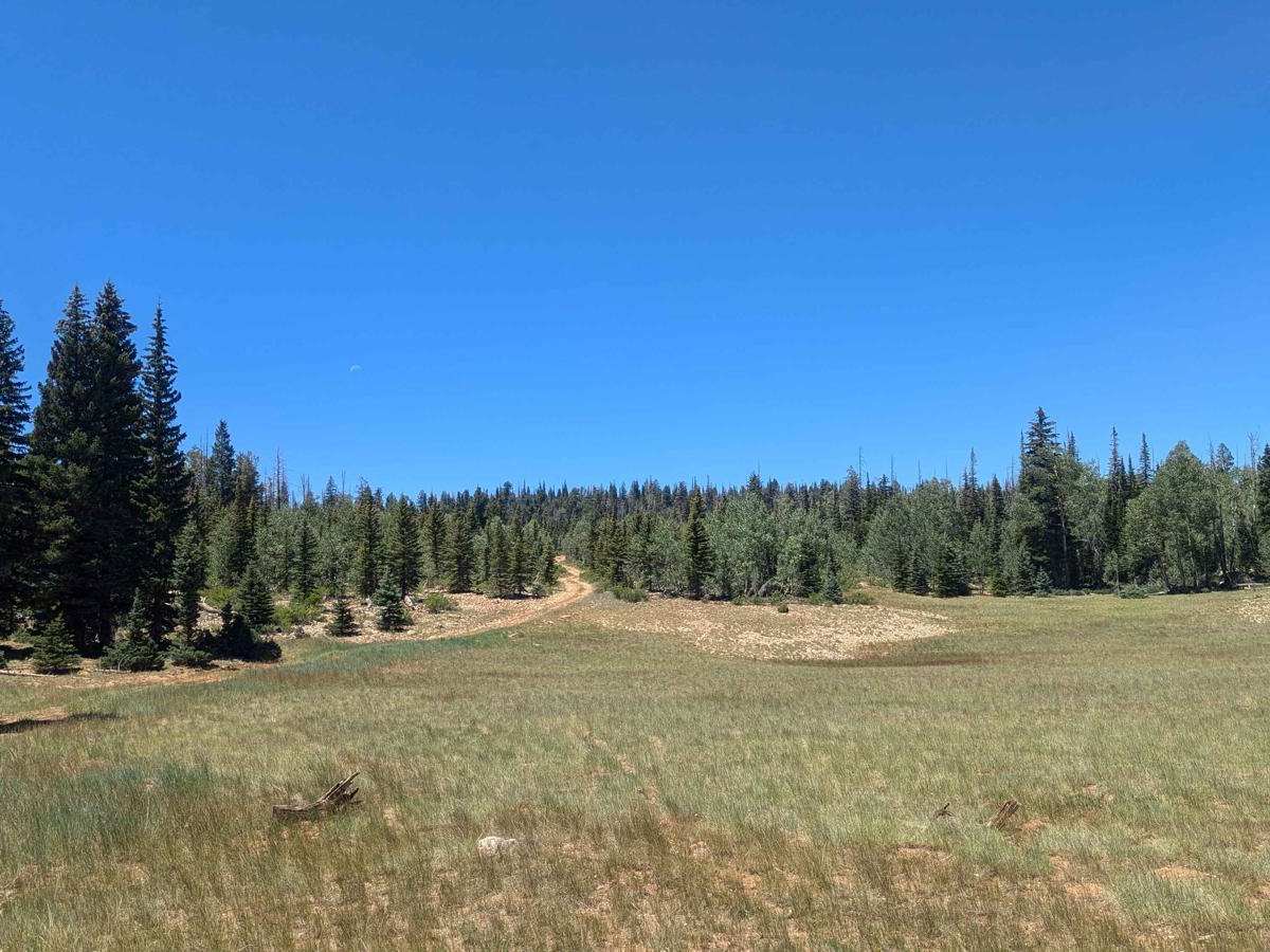 Lake View Loop photo 3