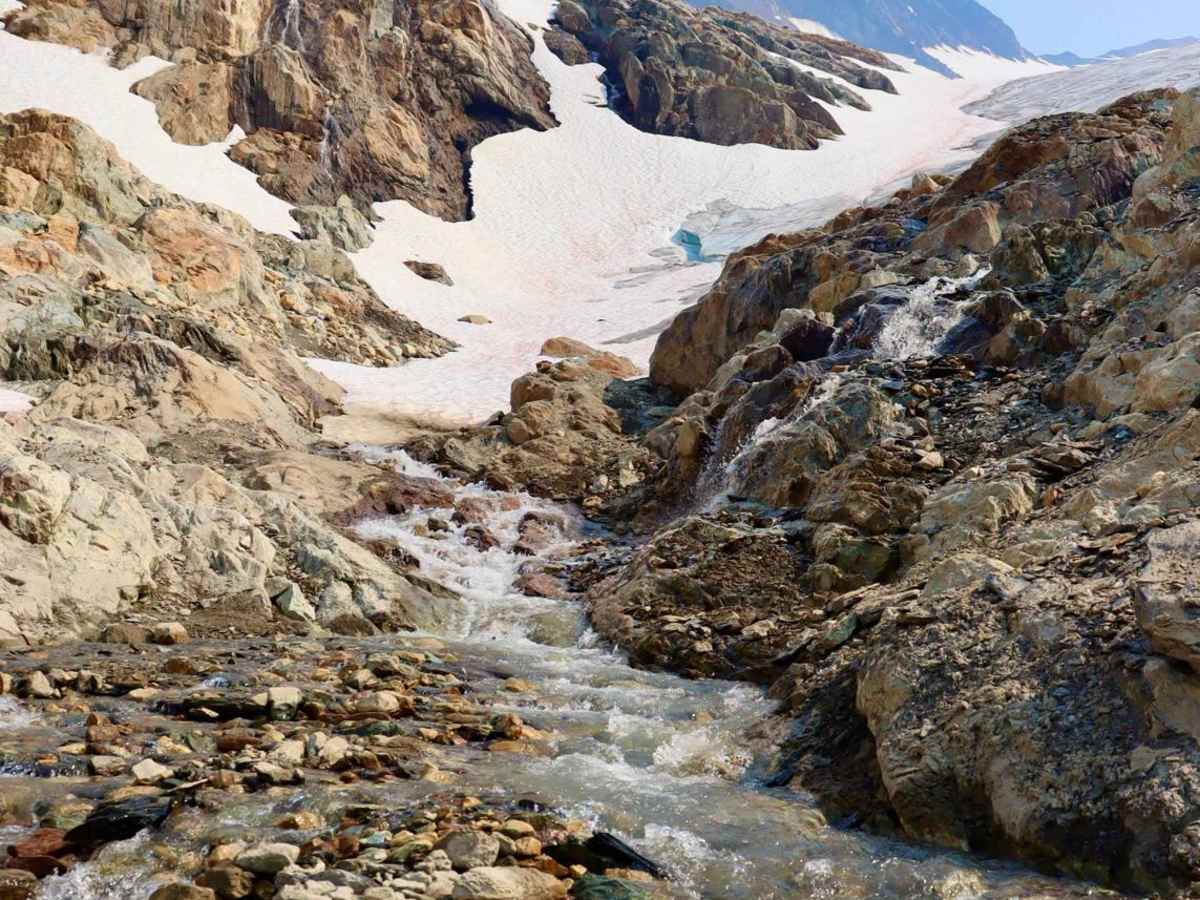 Farnham Glacier trail photo