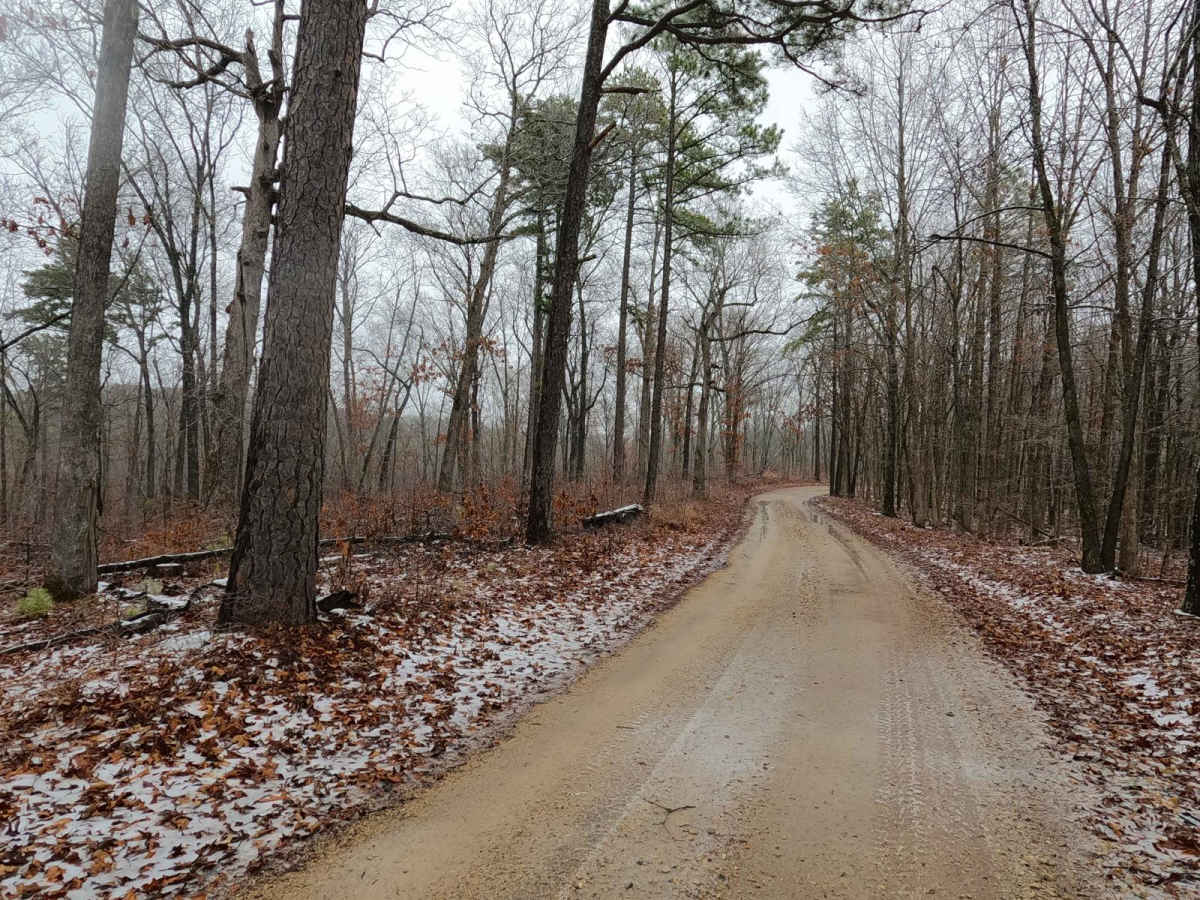 Timber Lane - FS 2514 photo 3