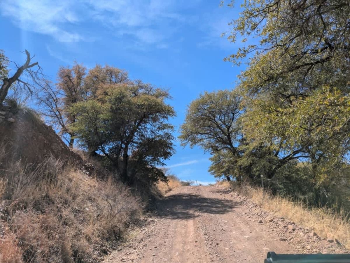 Parker Road photo 3