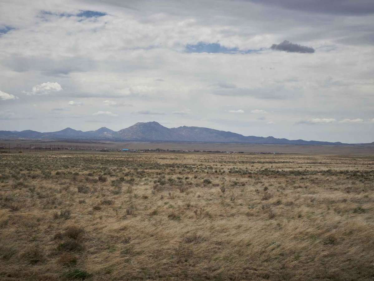 Pasture Blast photo 5