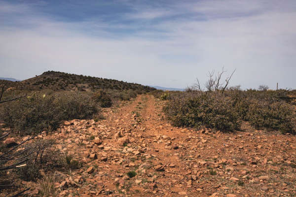 Long Gulch