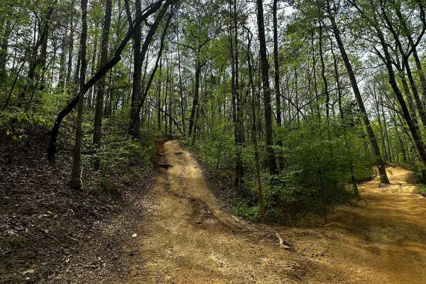Trail 29