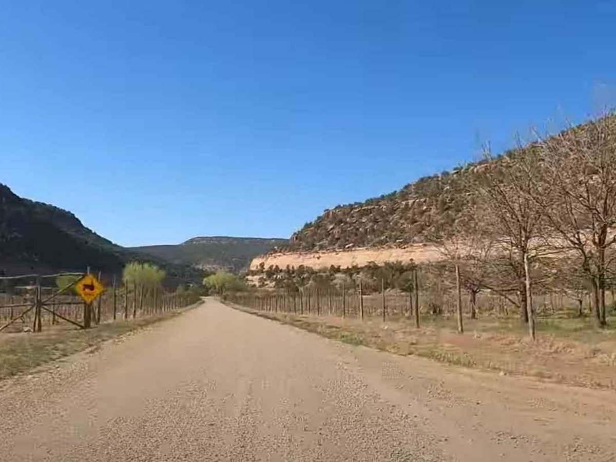 Montezuma Canyon Road photo 6