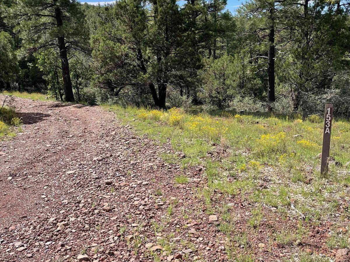 Rock Garden Loop photo 2