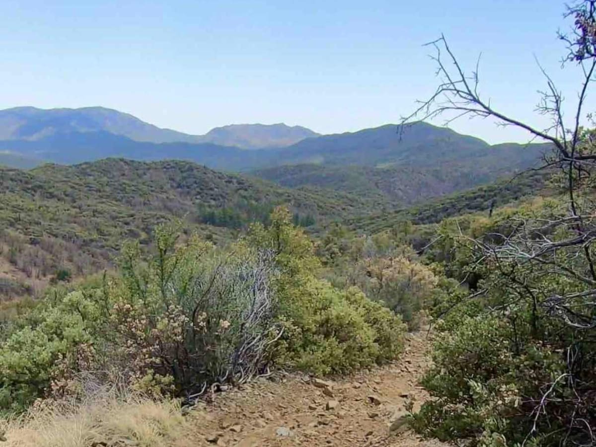 9404W trail photo