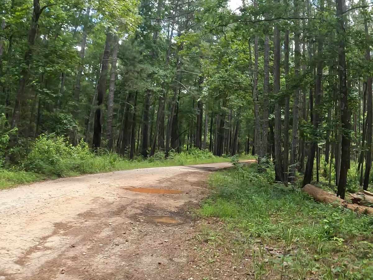 Penfield Hunt Camp Road photo 2
