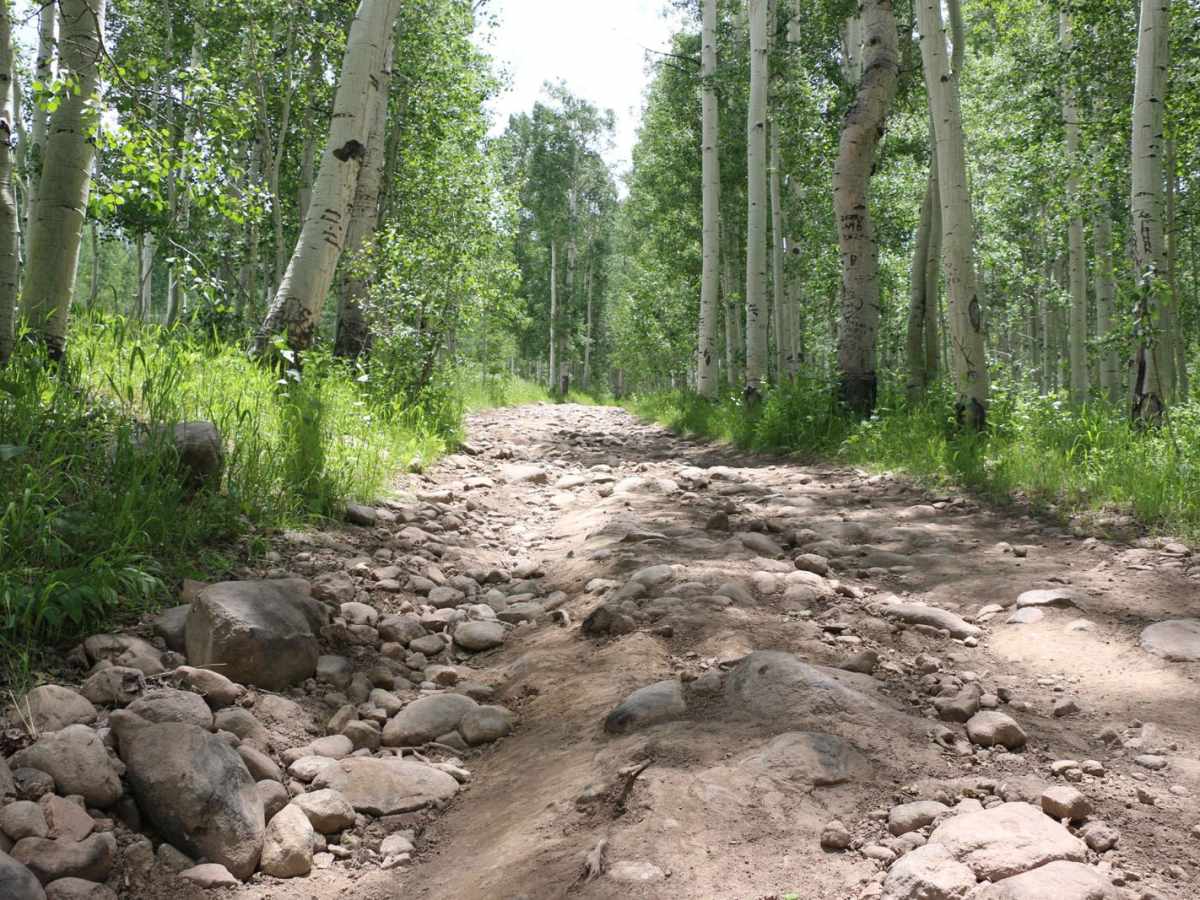 Heber Mountain - FS 70096 photo 5