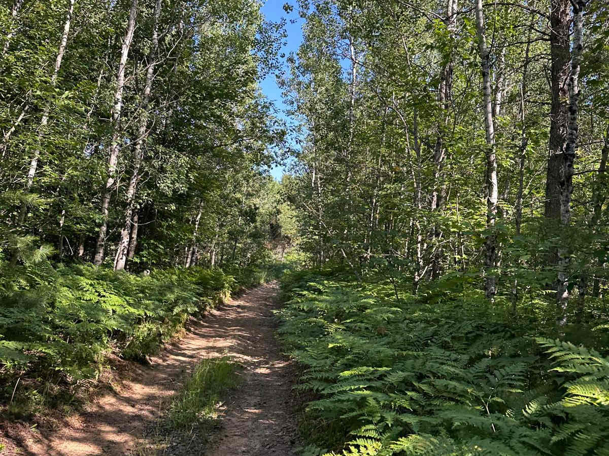 Barker Trail photo 4