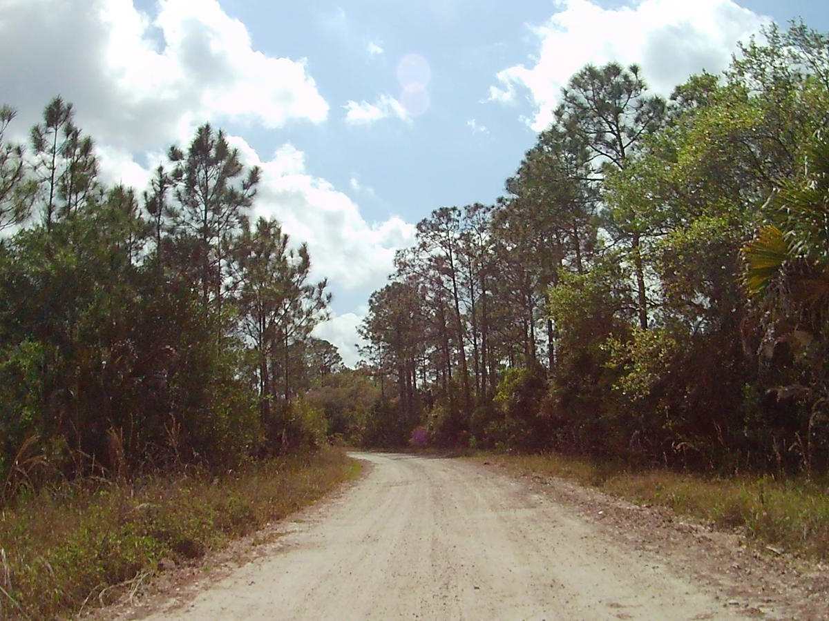 Mustang Loop photo 2