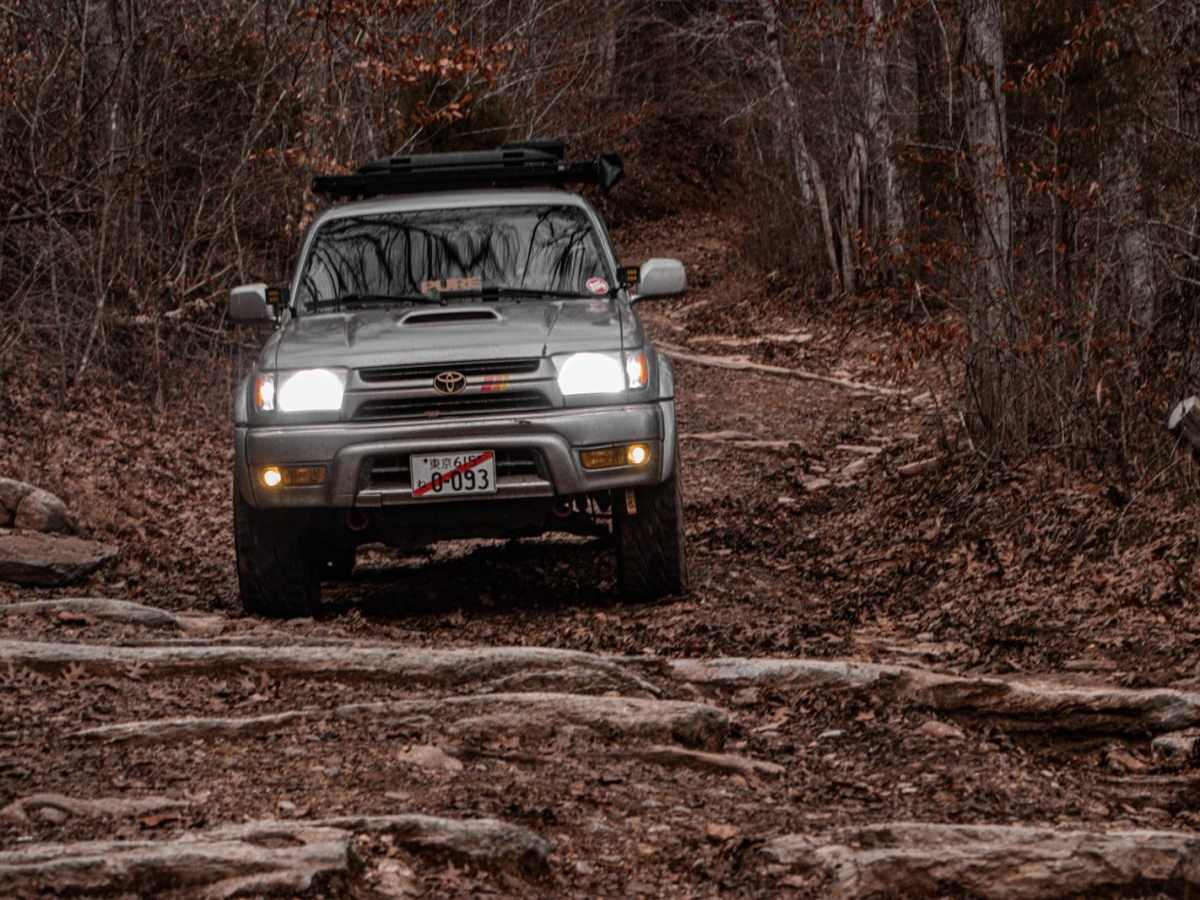 Ben Fly Road trail photo