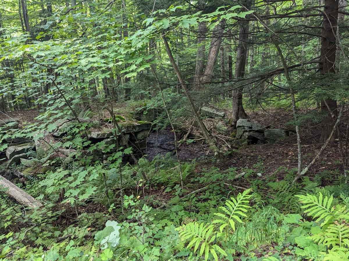 Hallockville Road photo 5