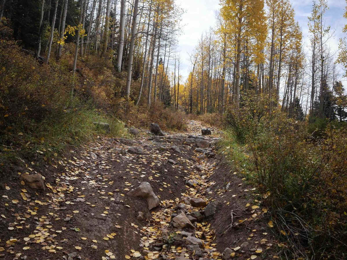 Berri ATV photo 5