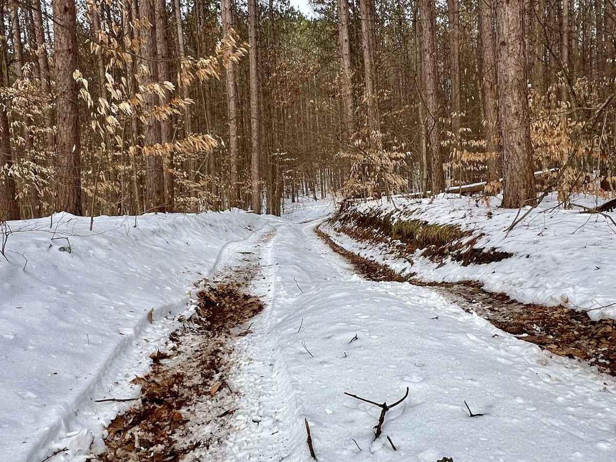 NFS 9602 (Brush Lake Trail) photo 5