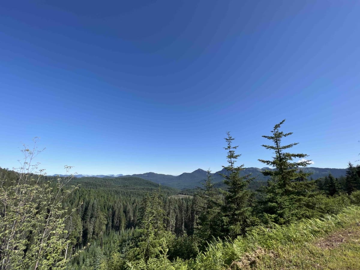 Bear Pass 1509 photo 5
