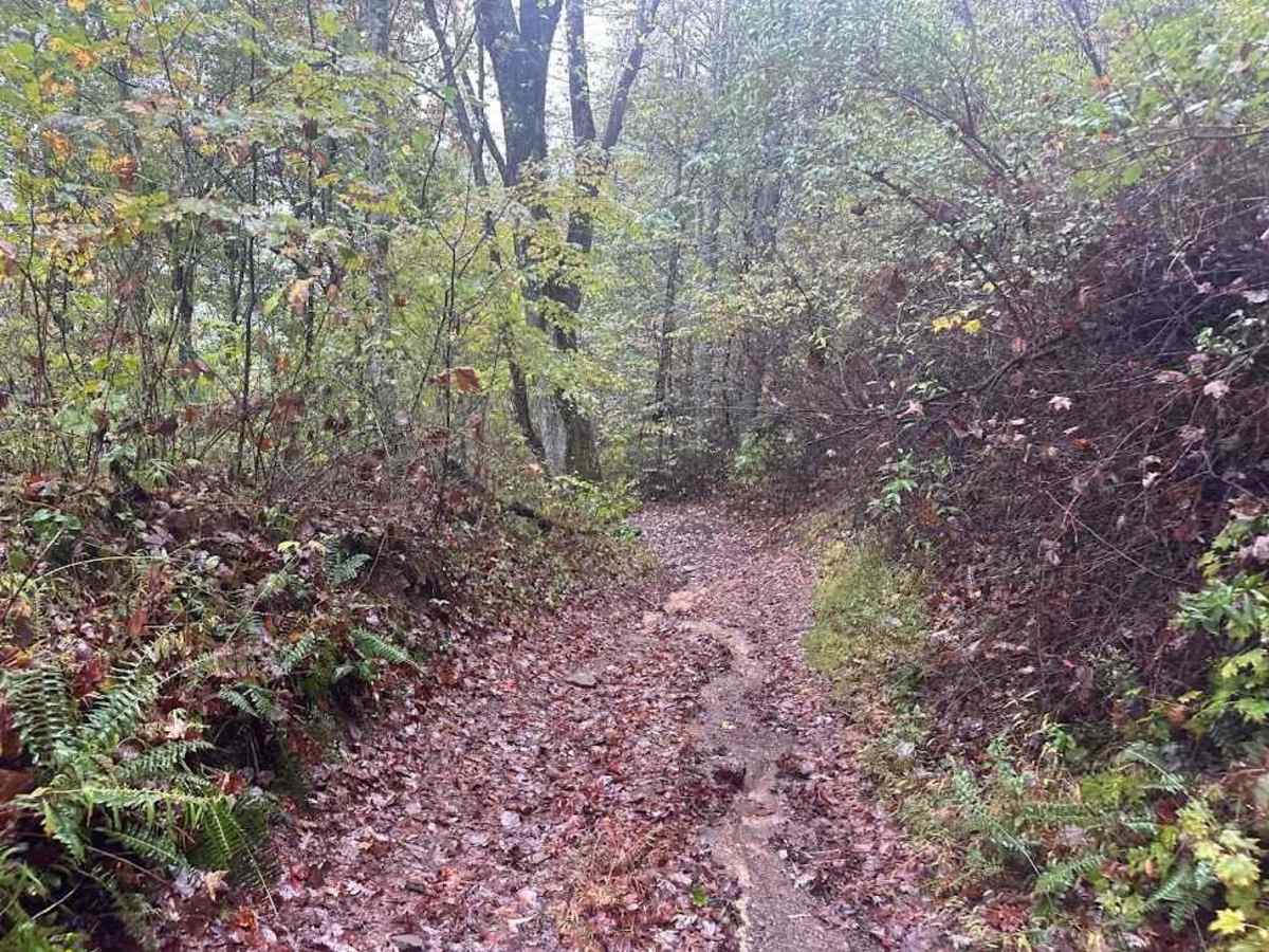15 Alternate Blue trail photo