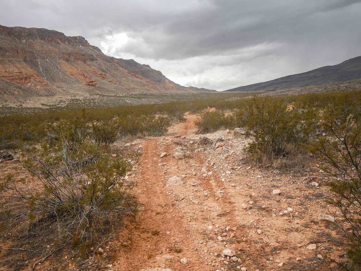 2055 Single Track photo 2