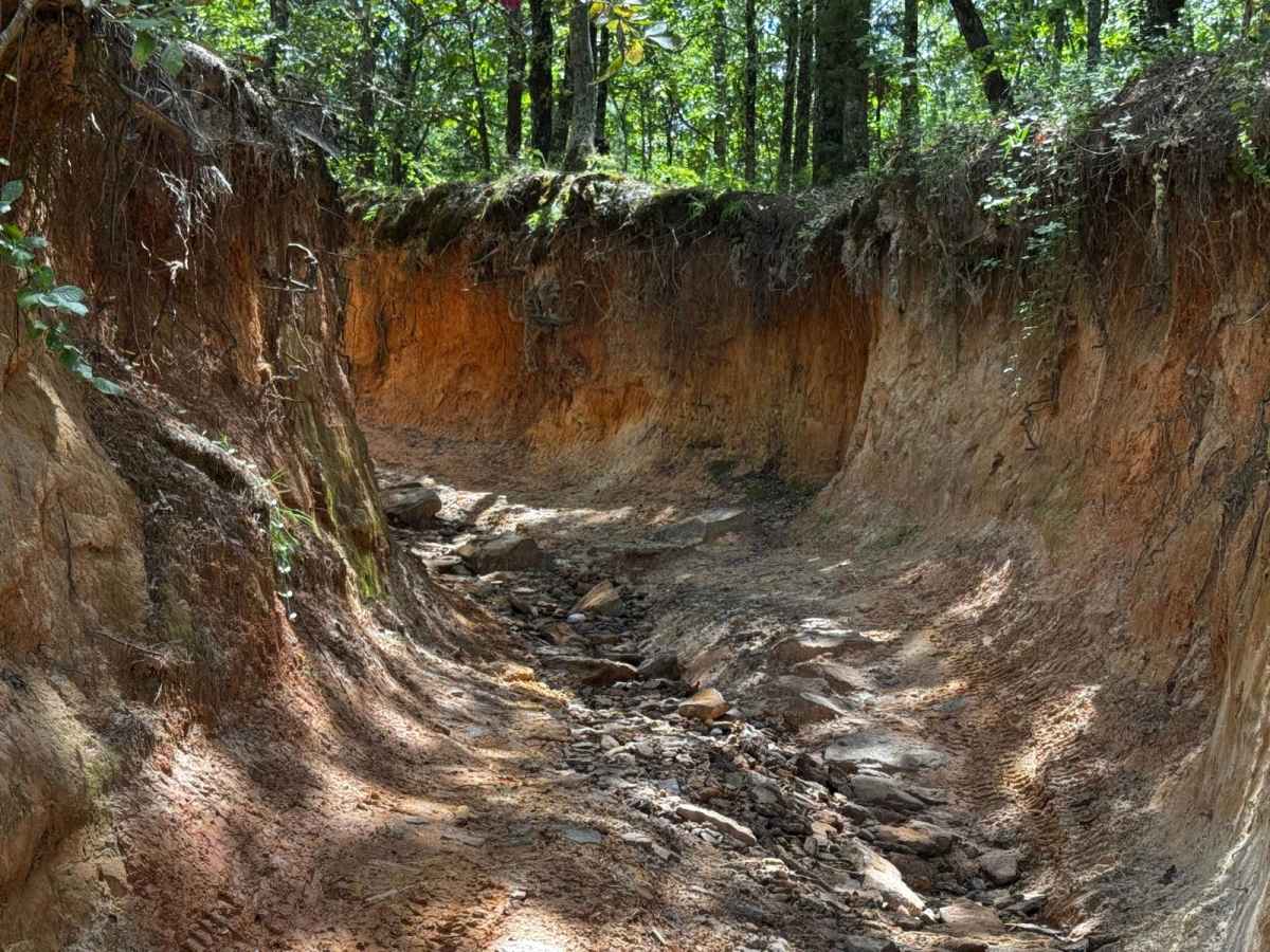 Louisiana Backroads (AKA Angry Jeep)  photo 4