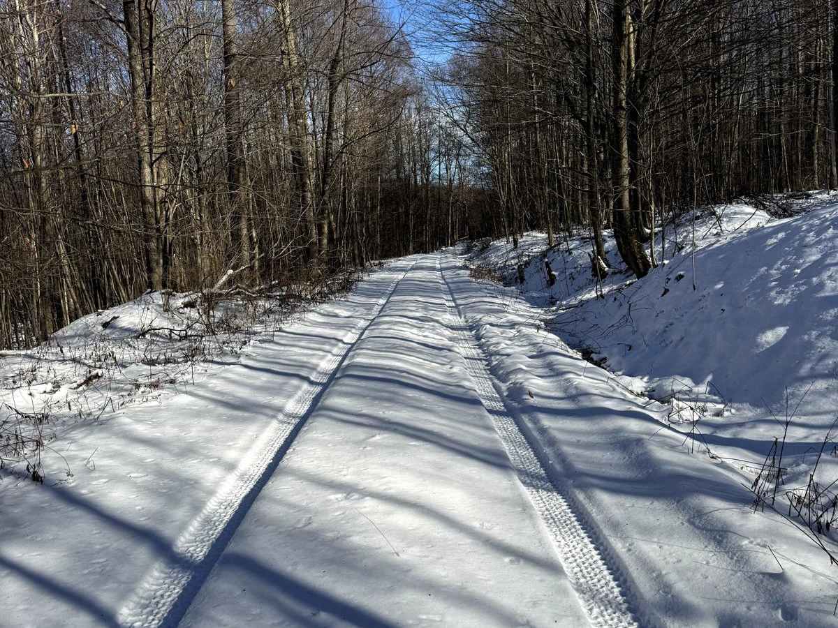 McCarty Road trail photo